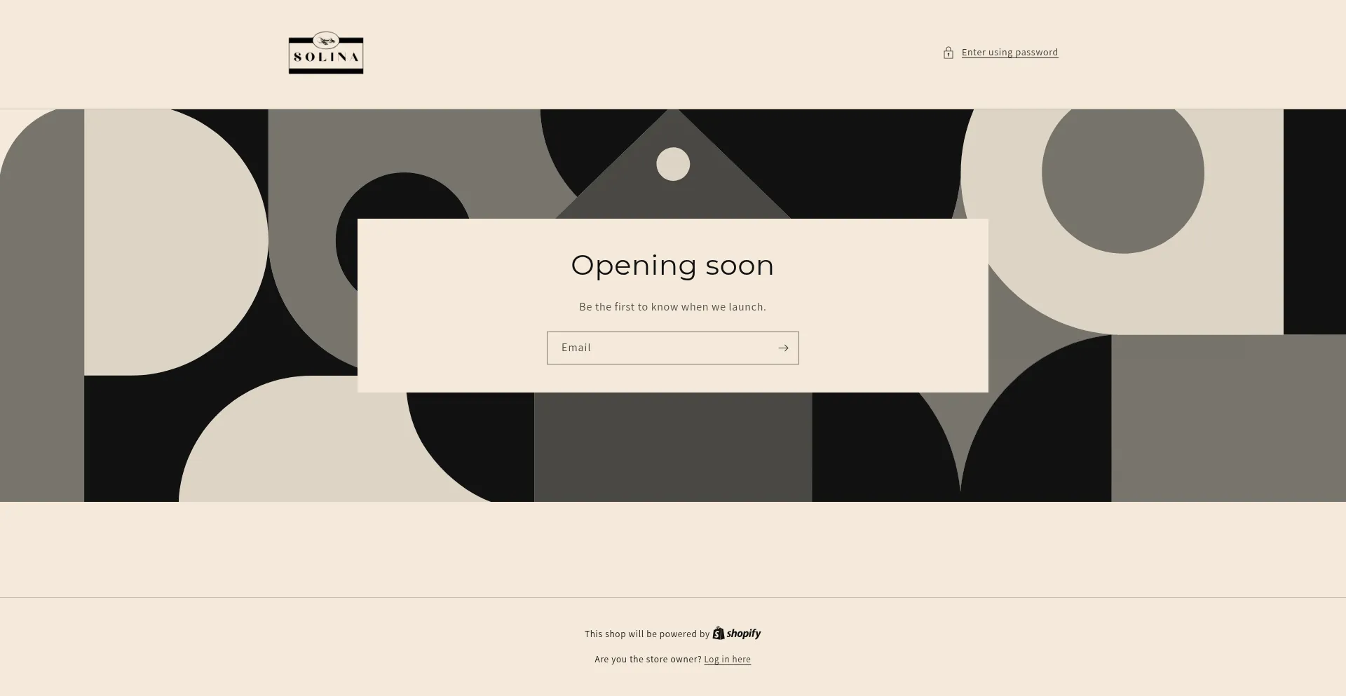Website screenshot of Solinatelier.com