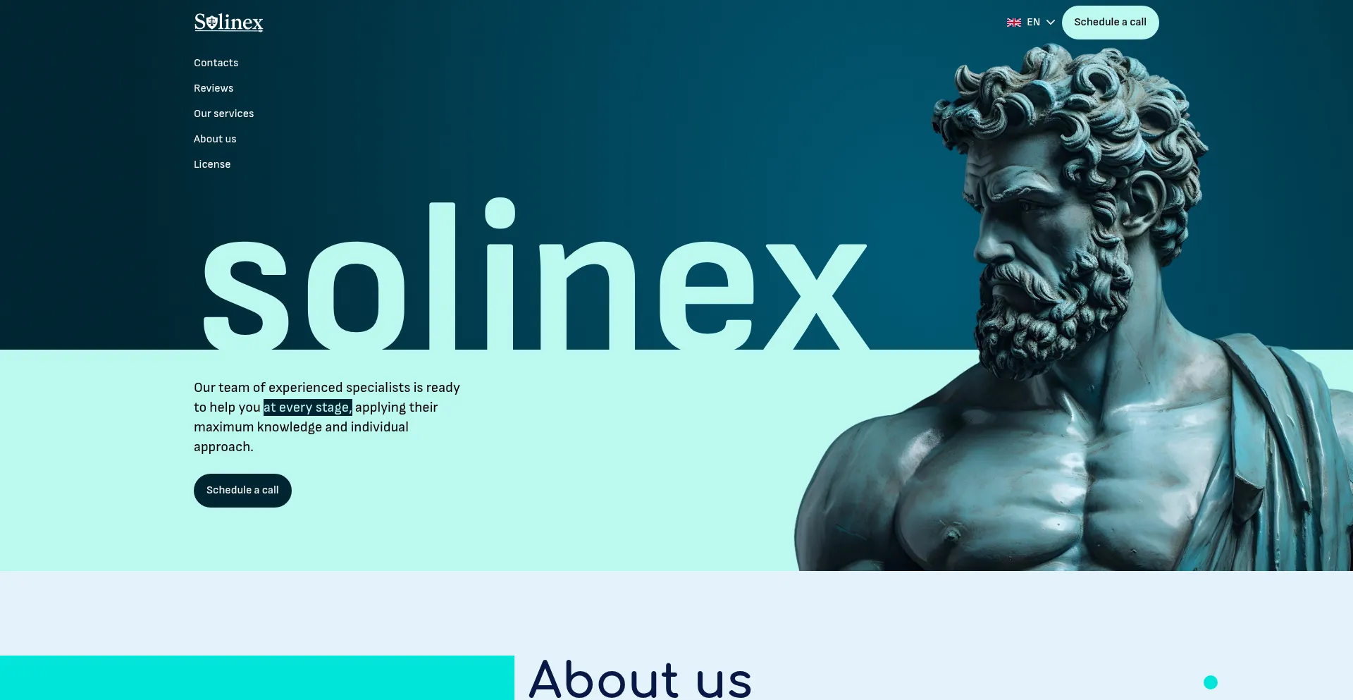 Solinex.group