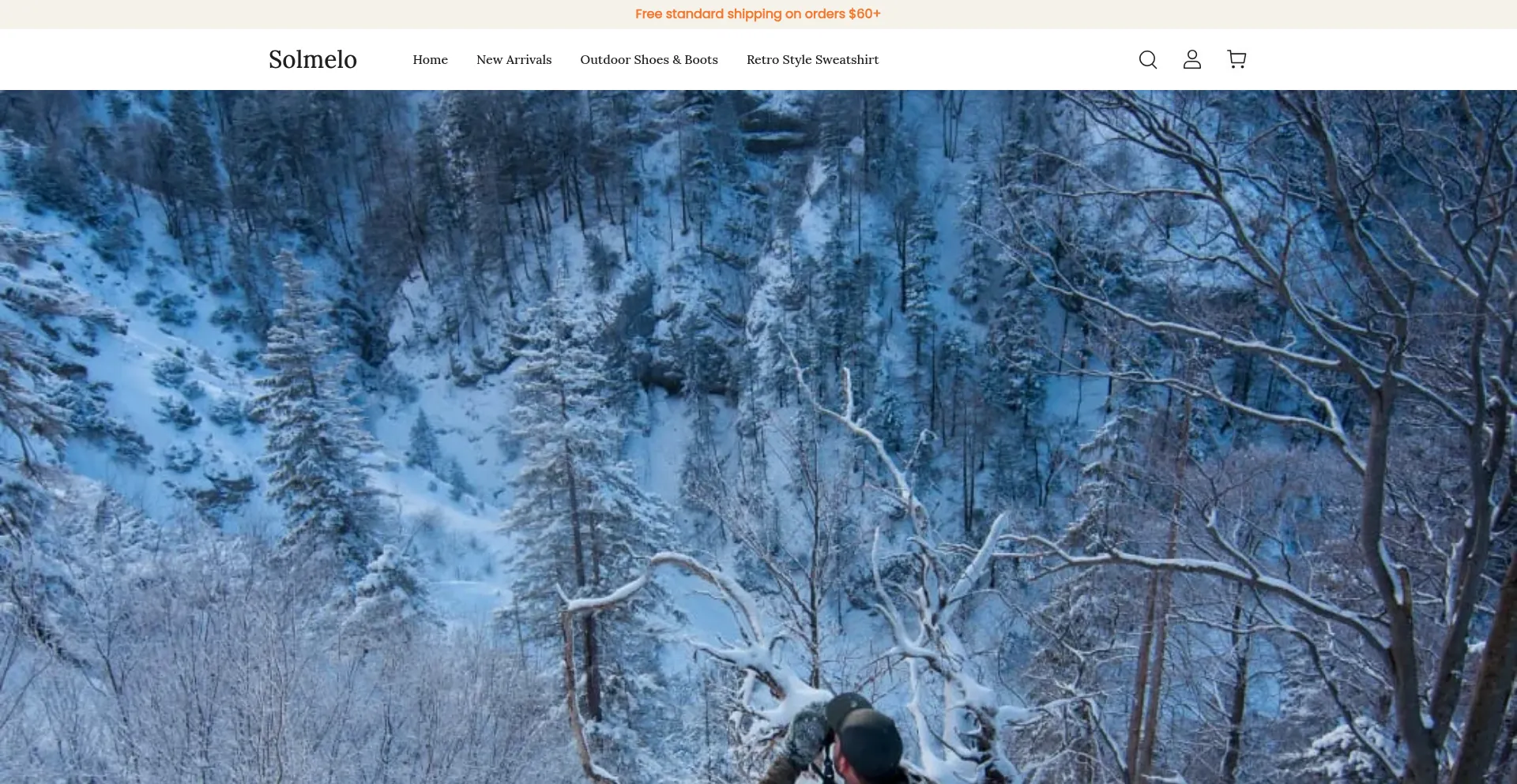 Website screenshot of Solmelo.com