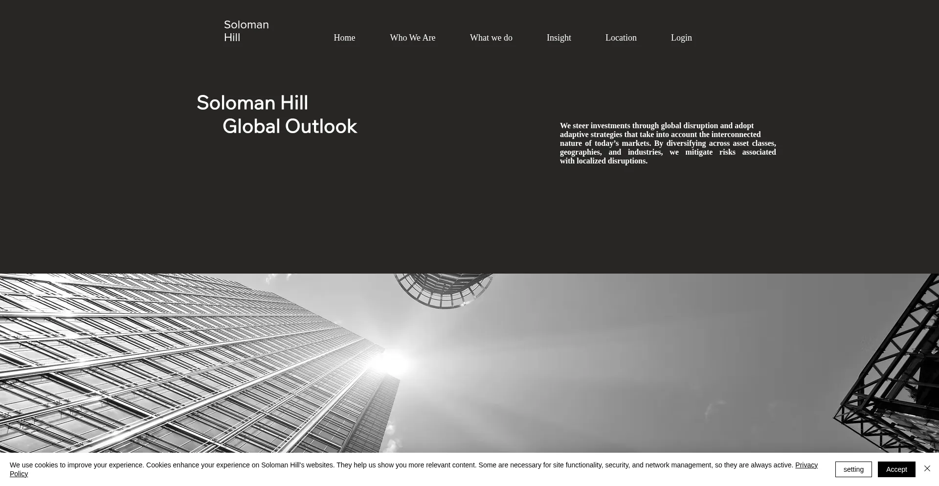 Website screenshot of Solomanhill.com