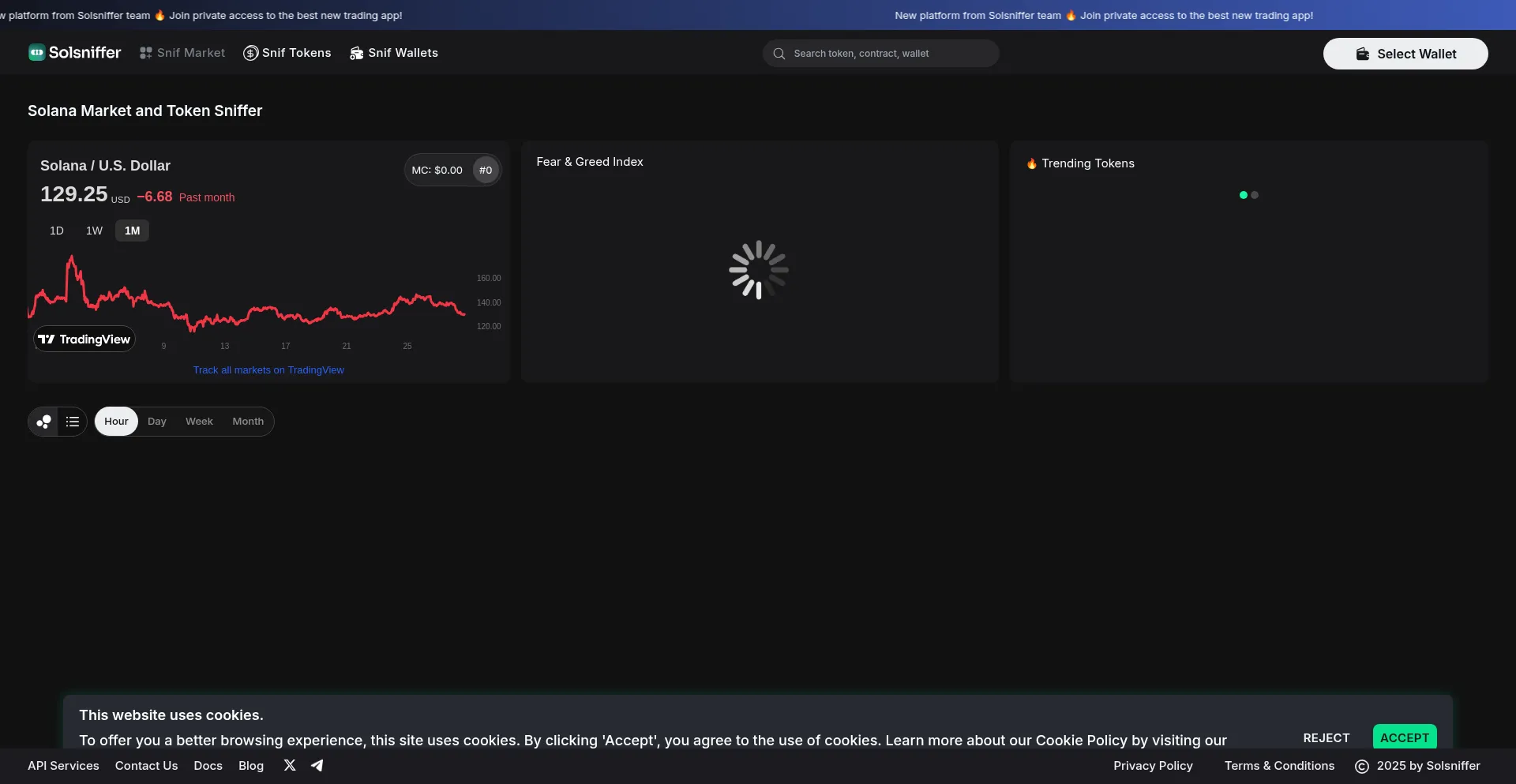 Website screenshot of Solsniffer.com