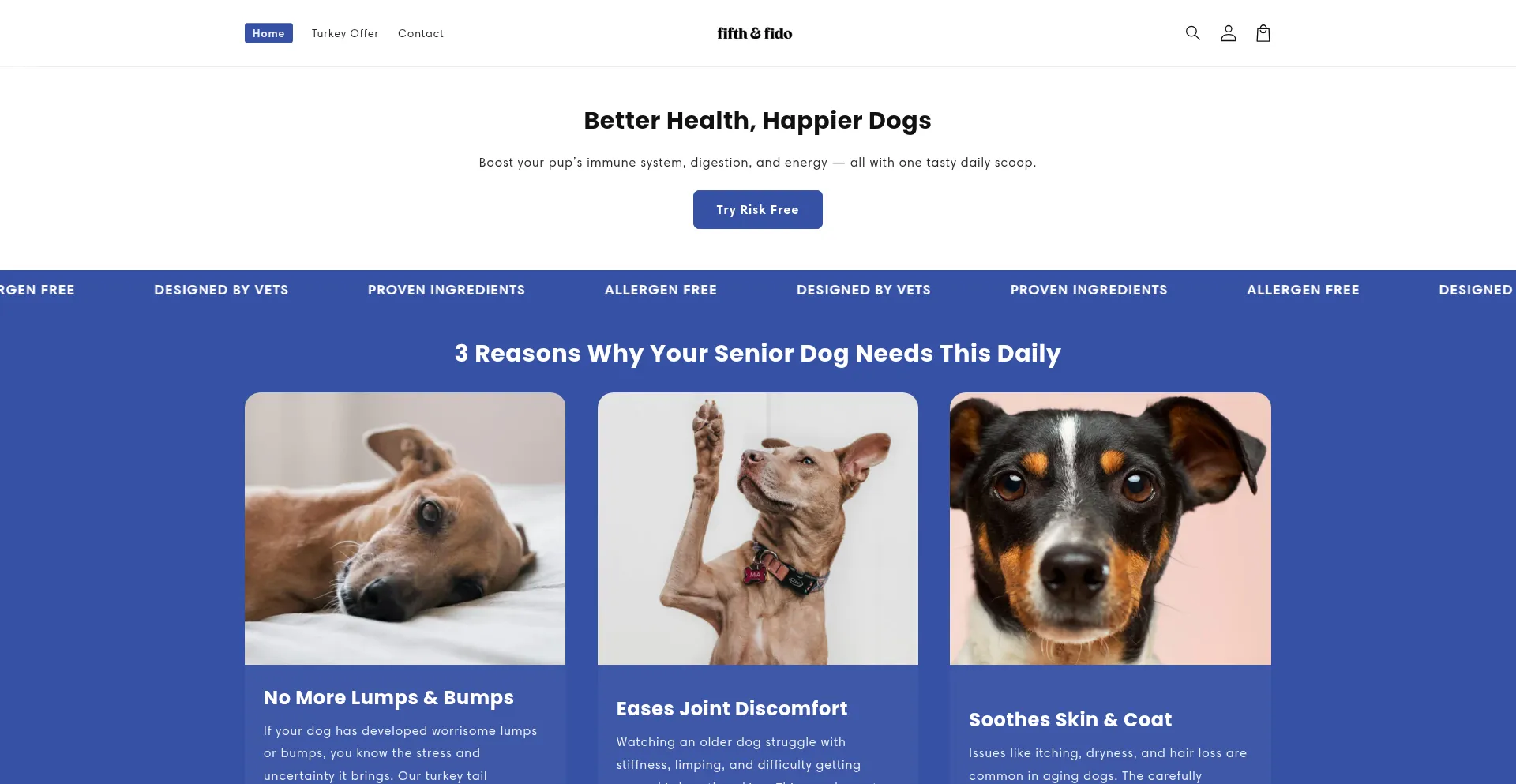 Website screenshot of Solvetro.com