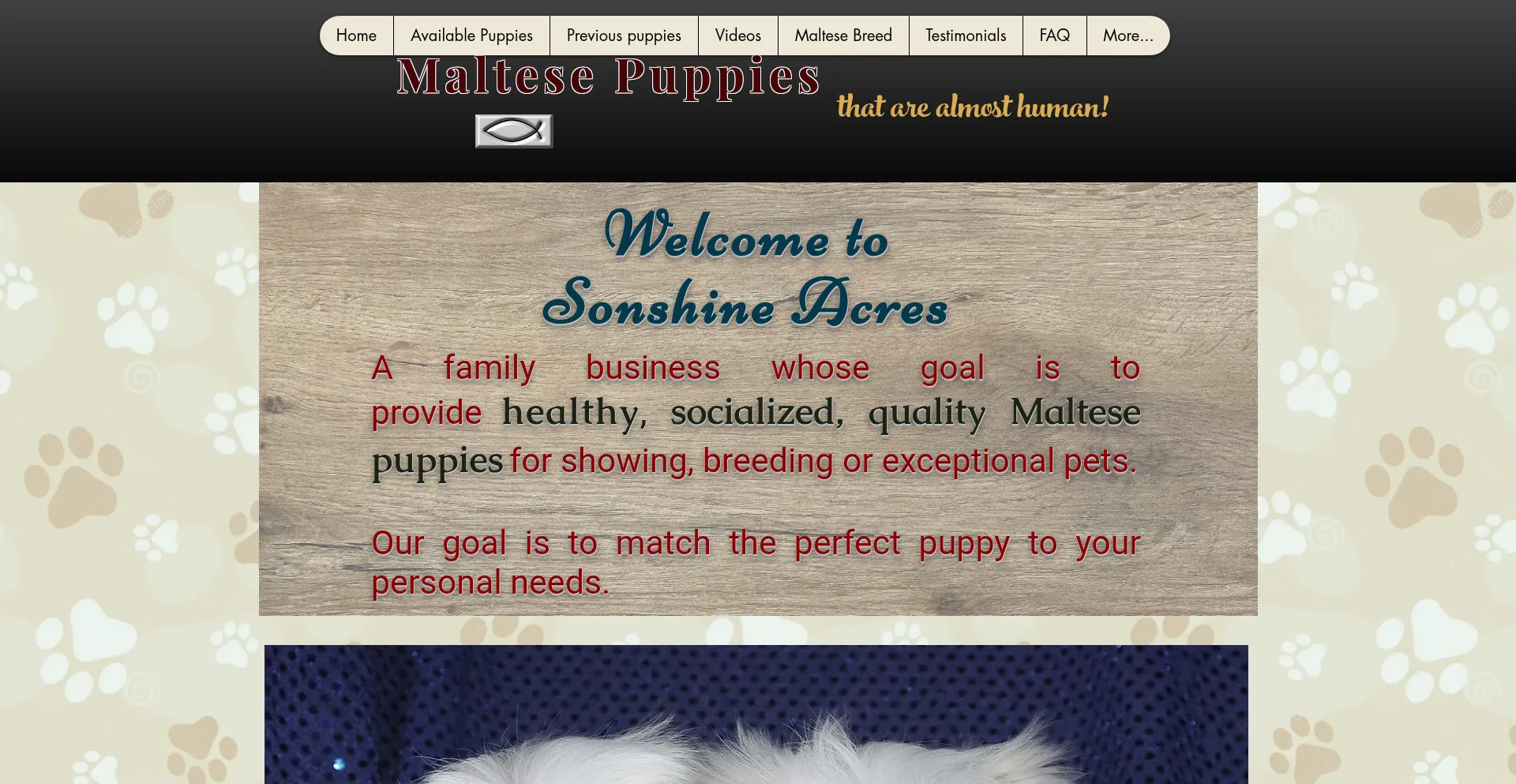 Website screenshot of Sonshineacres.com