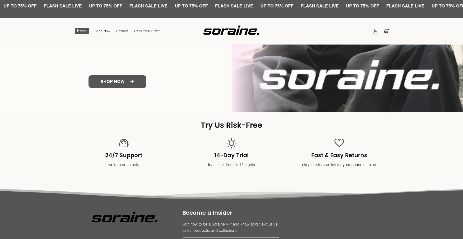 Website screenshot of Soraine.com