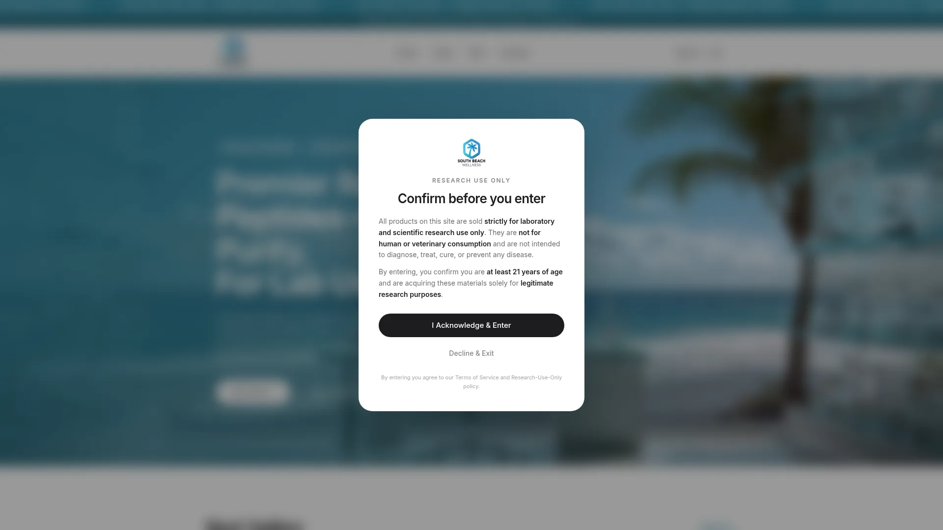 South-beachwellness.co