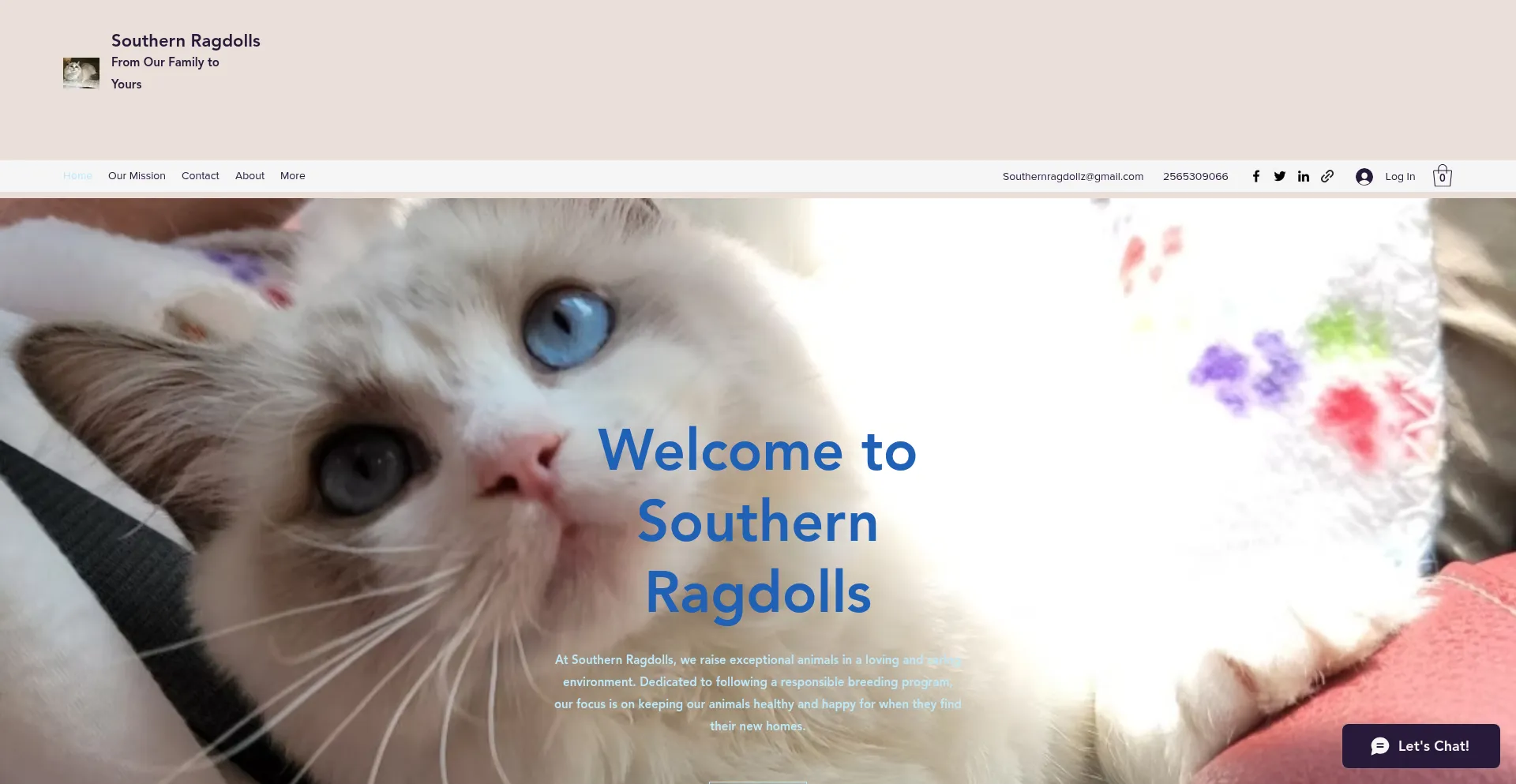 Southernragdoll.com