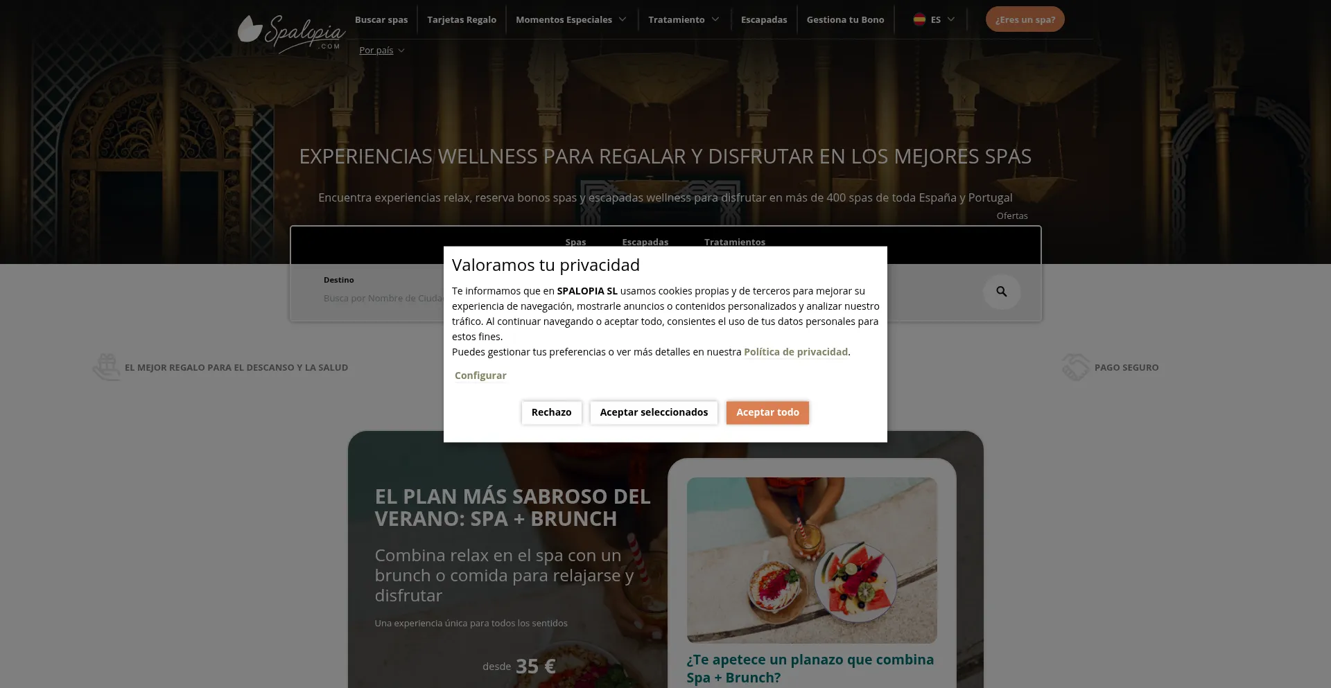 Website screenshot of Spalopia.com