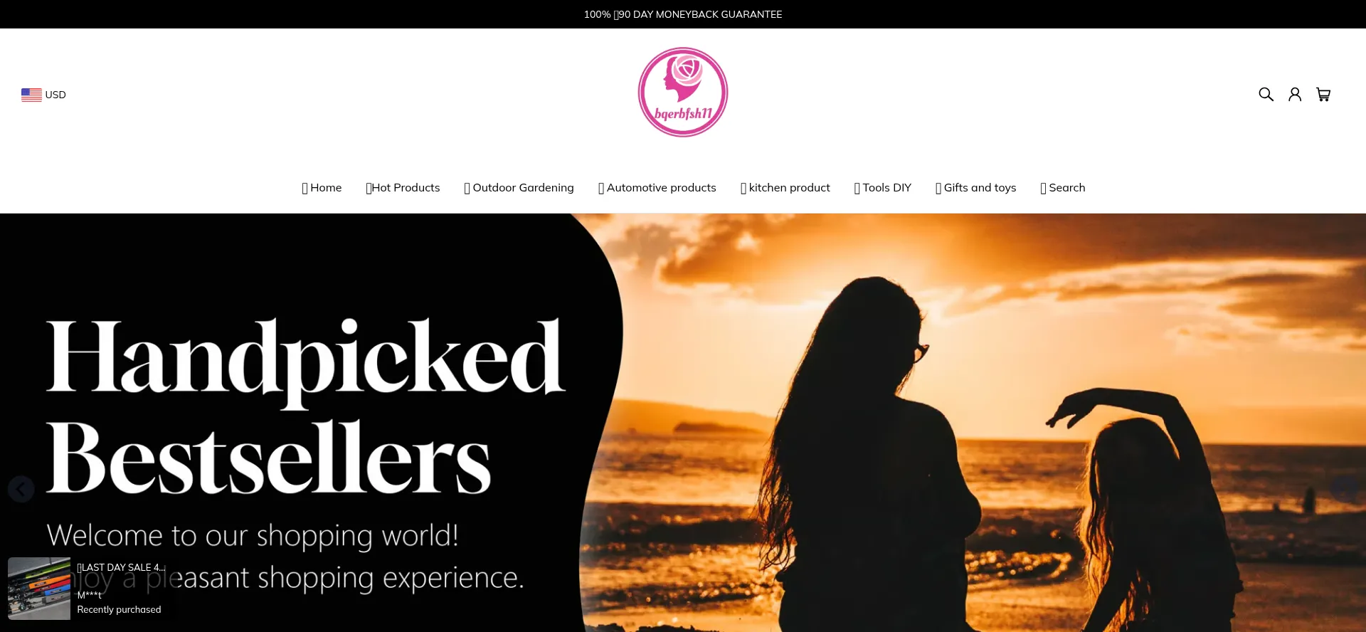 Website screenshot of Speedvel.com