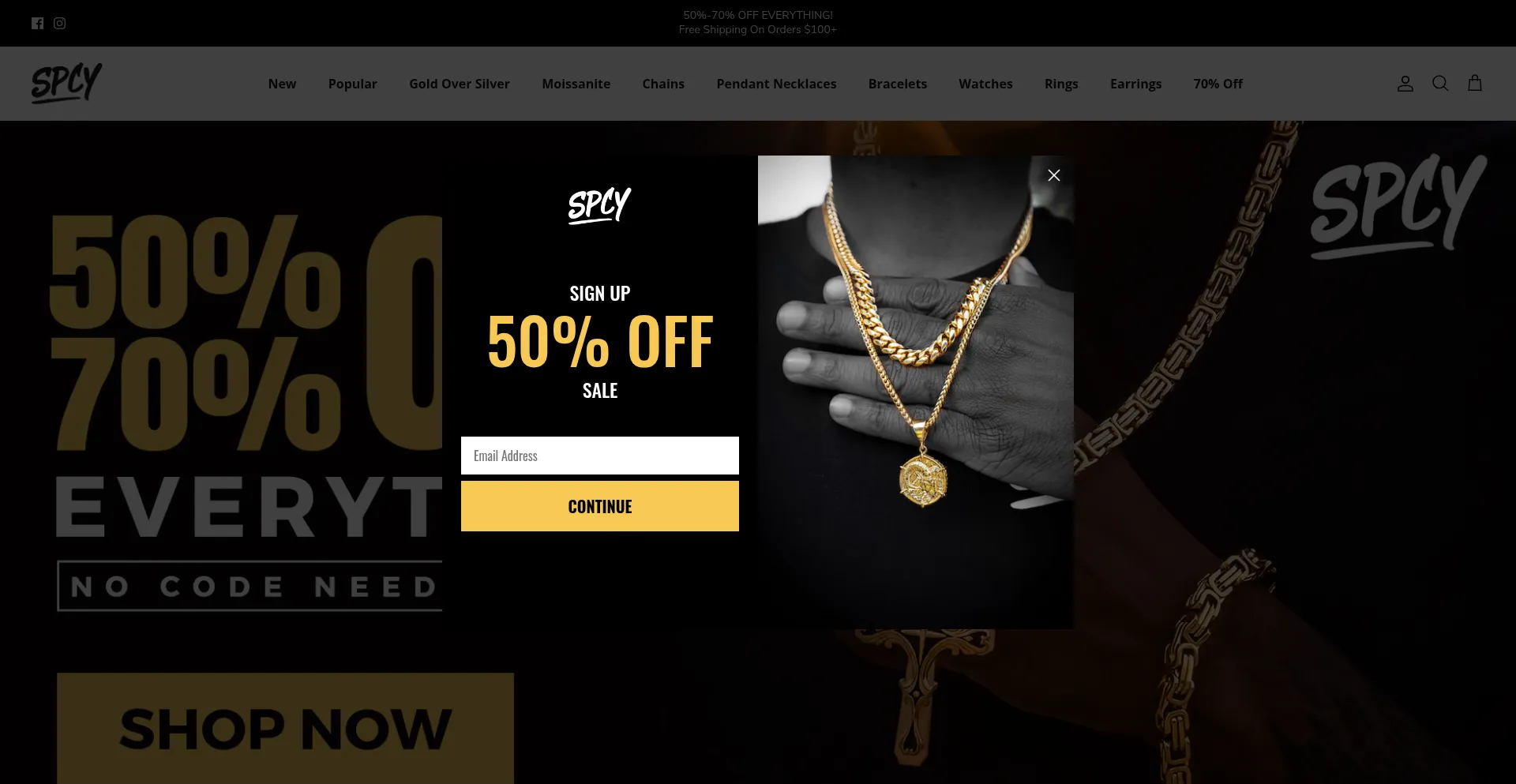 Website screenshot of Spicyice.com