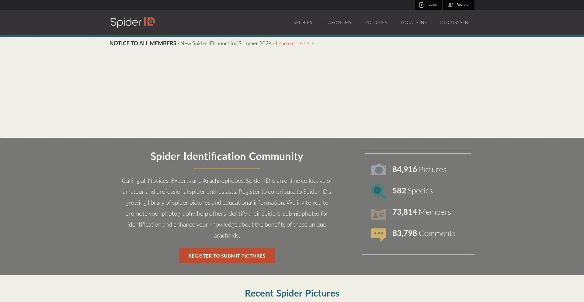 Website screenshot of Spiderid.com