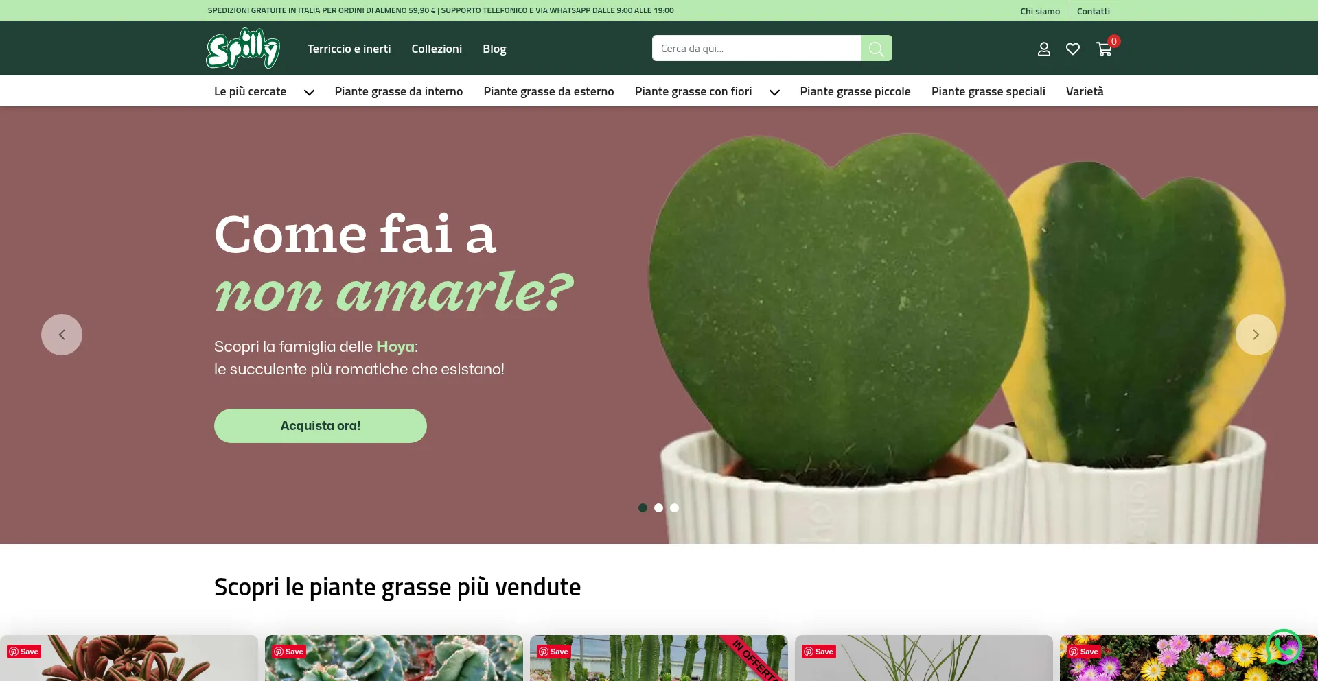 Spillycactus.it Screenshot