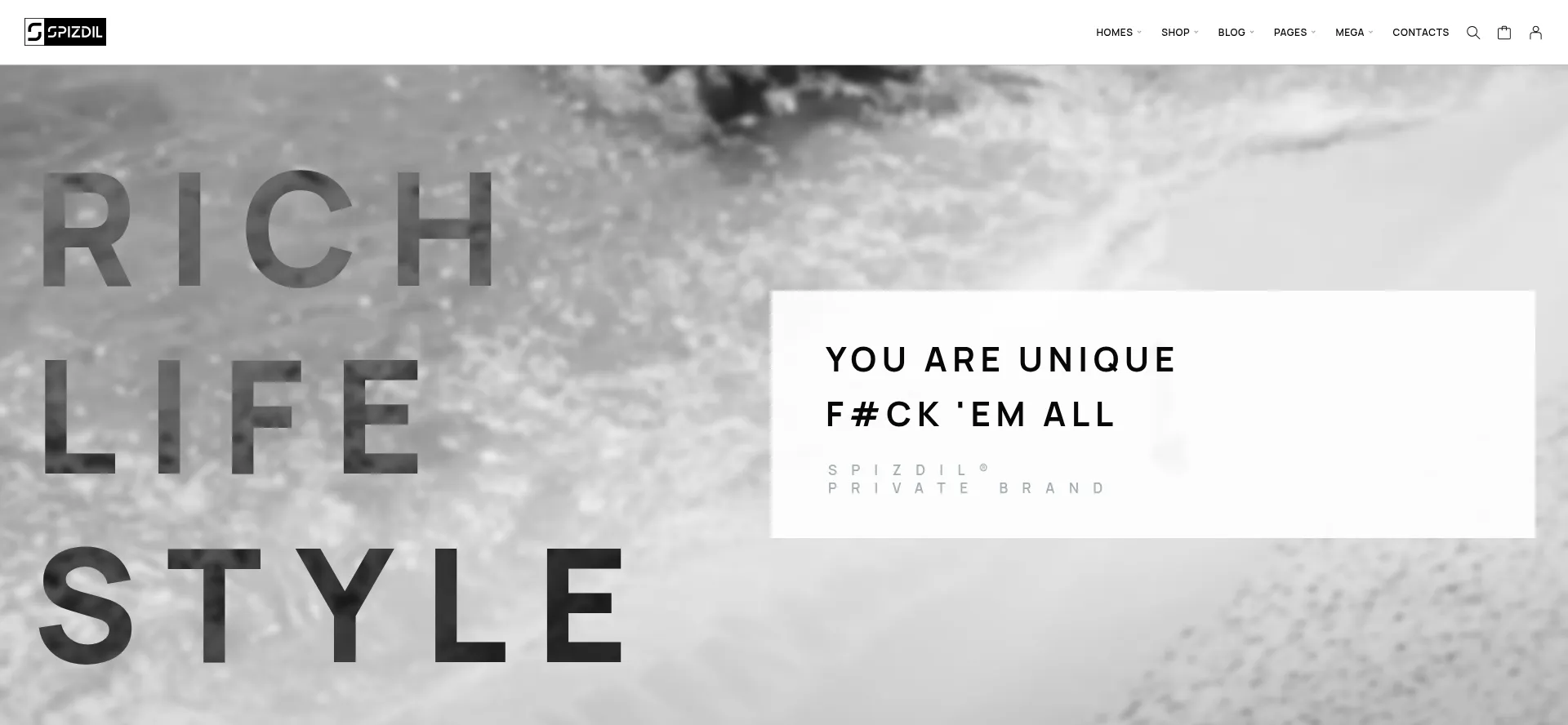 Website screenshot of Spizdil.de