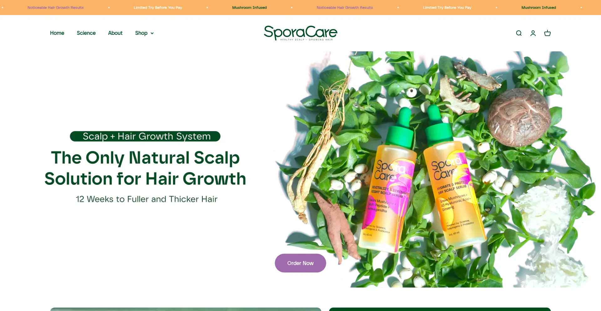 Website screenshot of Sporacare.com