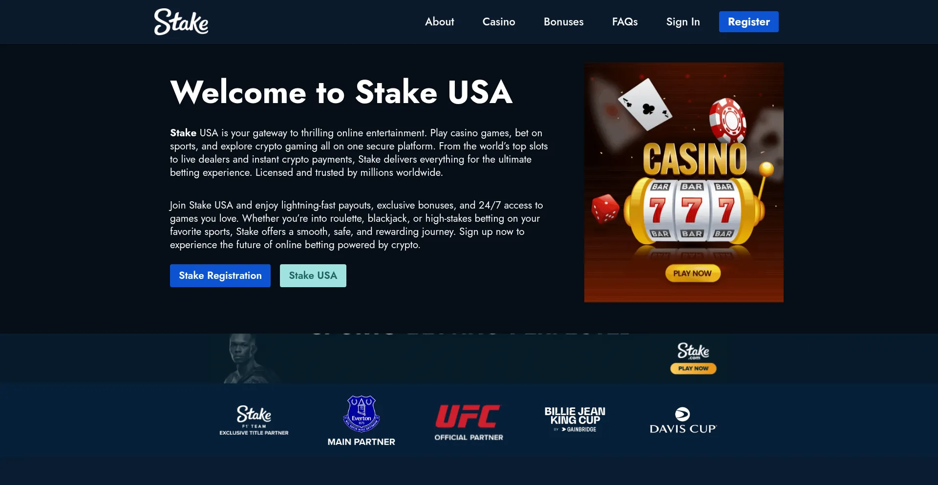 Website screenshot of Stake-web.com