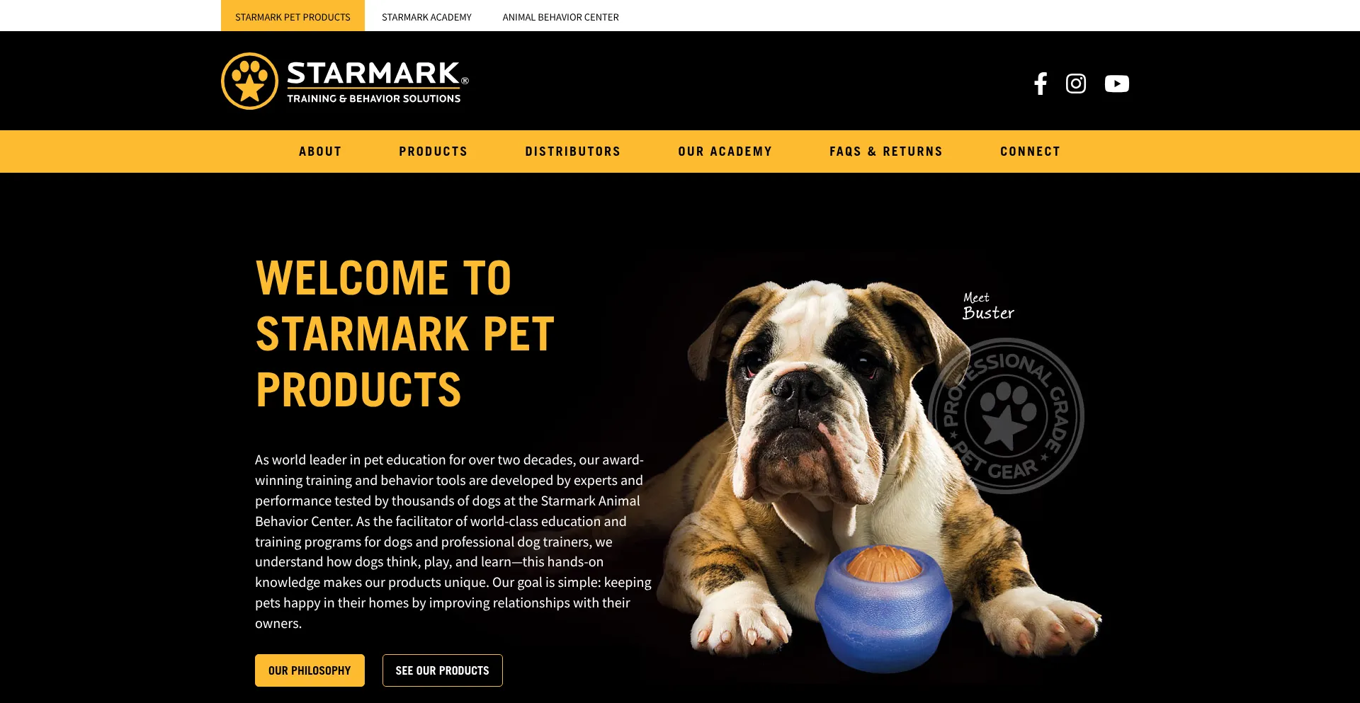 Starmarkacademy.com