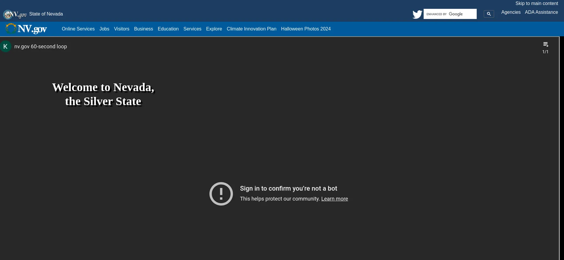 Website screenshot of State.nv.us