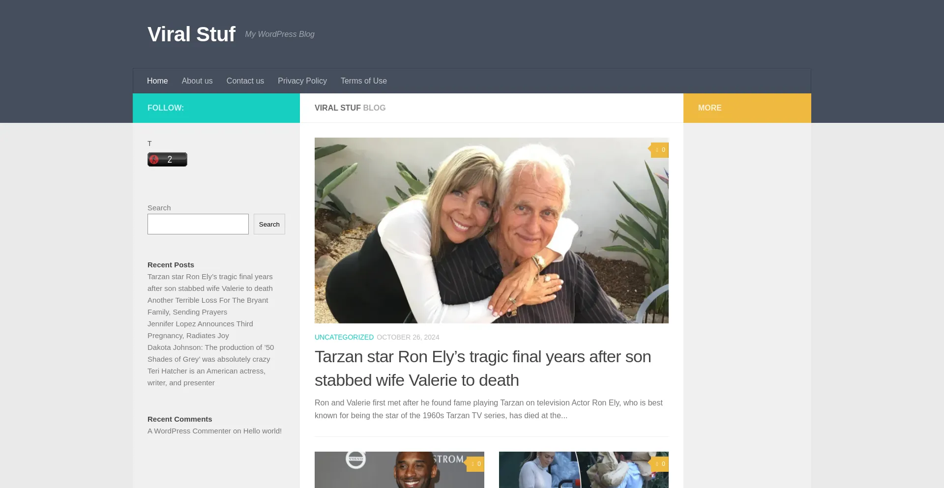 Website screenshot of Stationnement-gouv-amendes.viralstuf.xyz