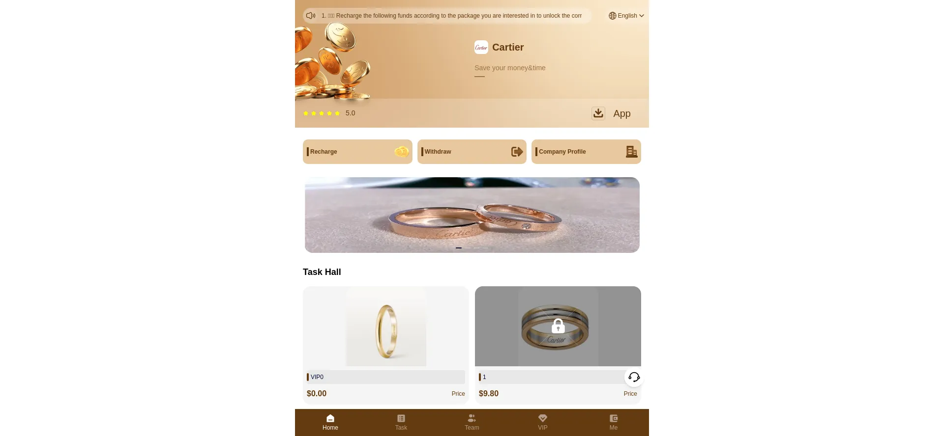 Website screenshot of Staywithyou.vip