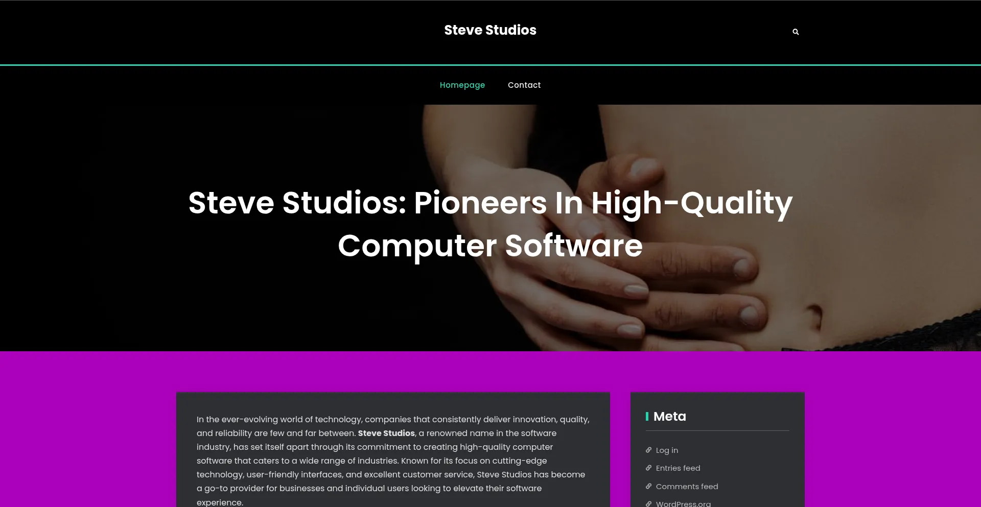 Website screenshot of Stevestudios.ca