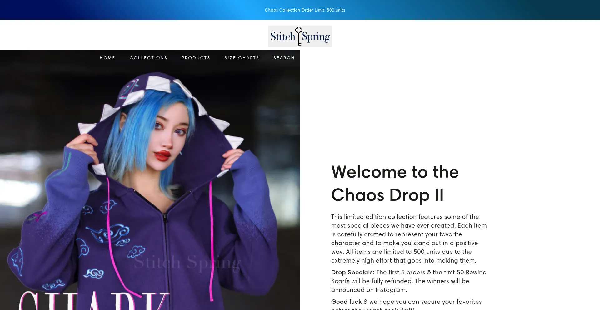 Website screenshot of Stitchspring.com
