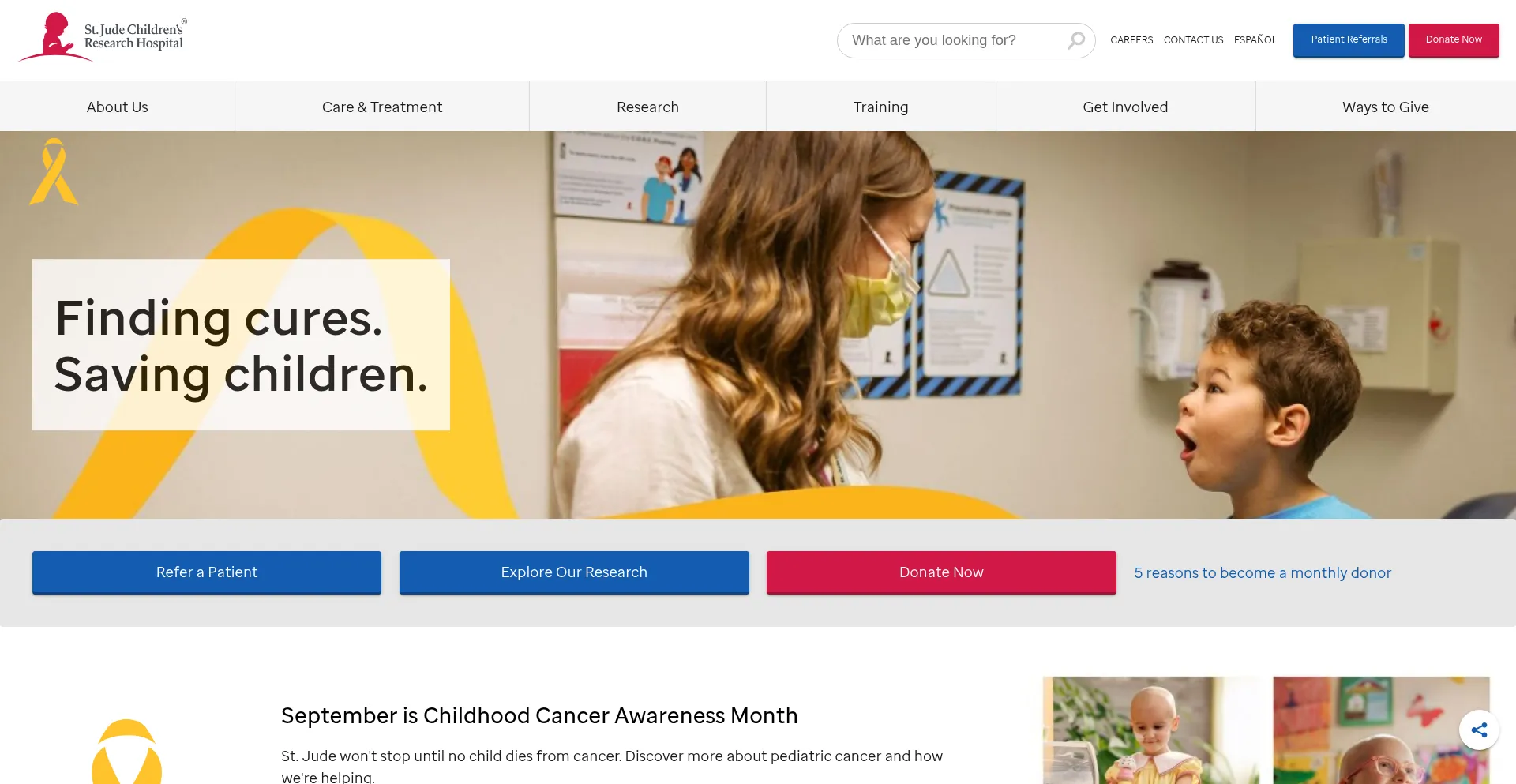 Website screenshot of Stjude.org