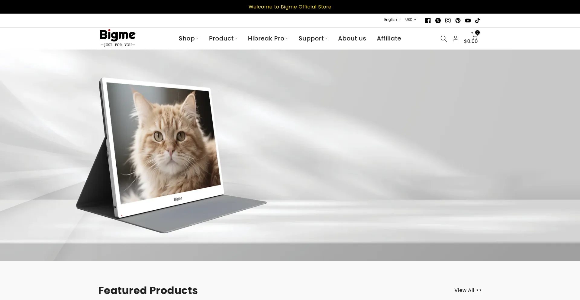 Website screenshot of Store.bigme.vip