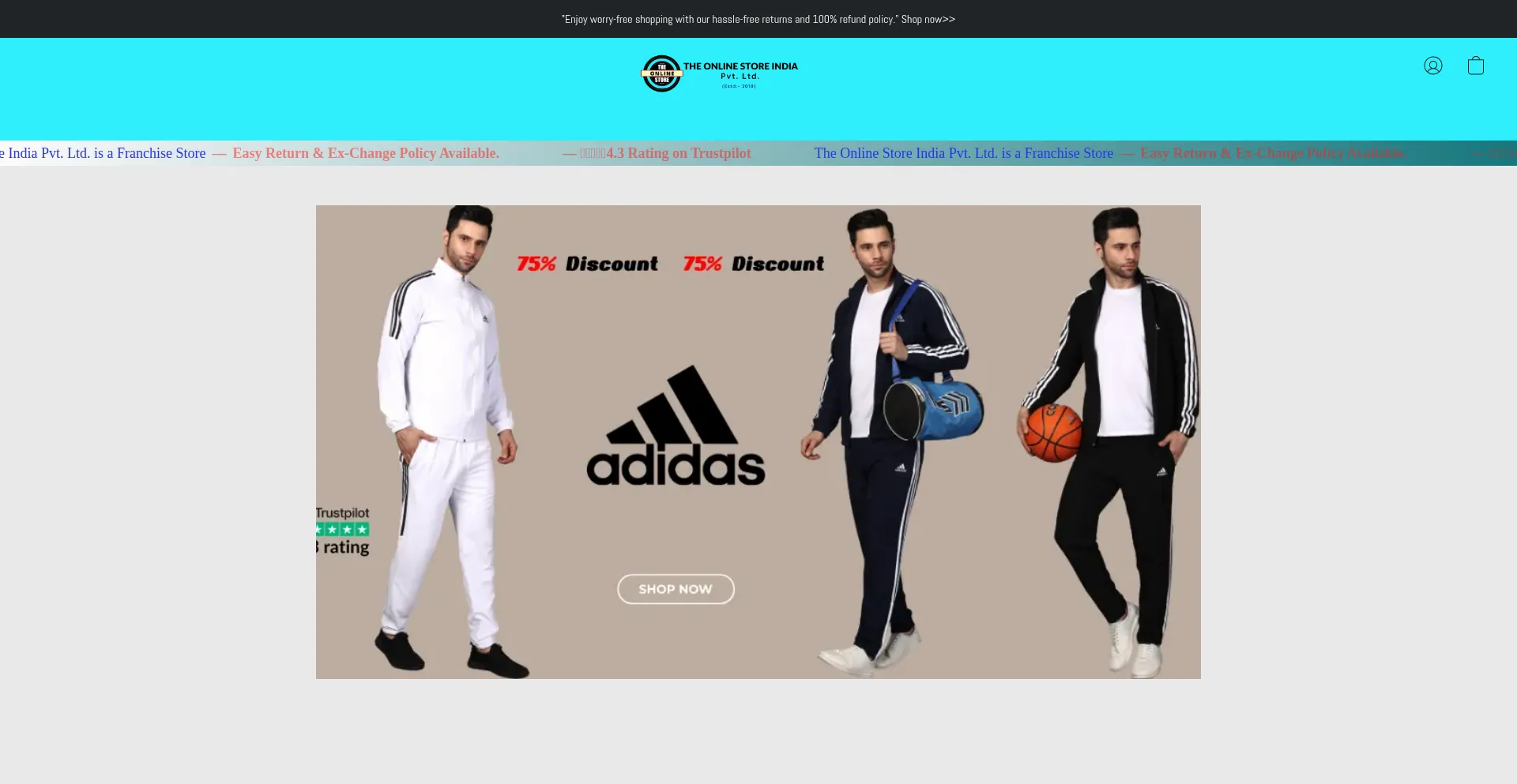 Website screenshot of Storeonline.store