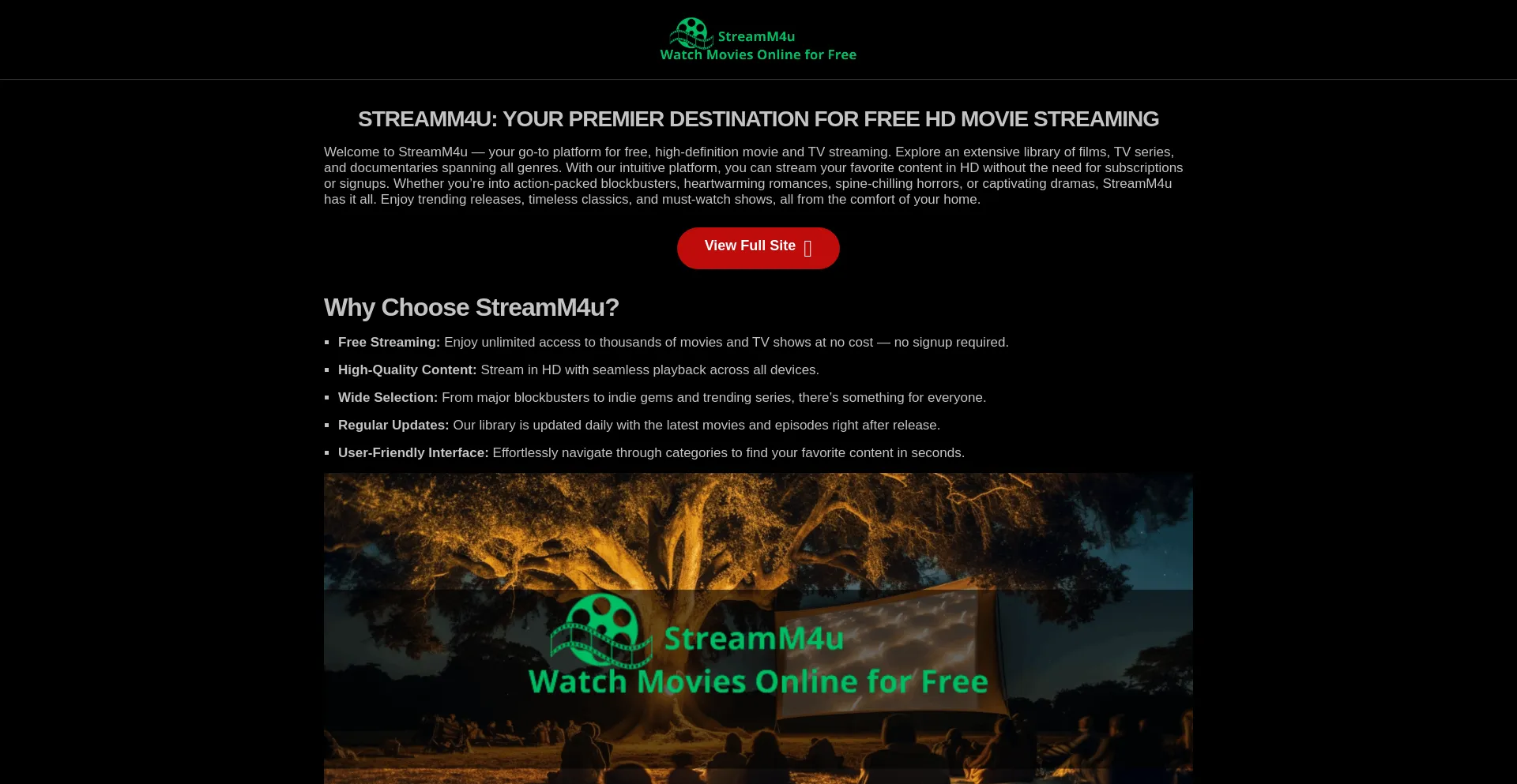 Website screenshot of Streamm4u.ink