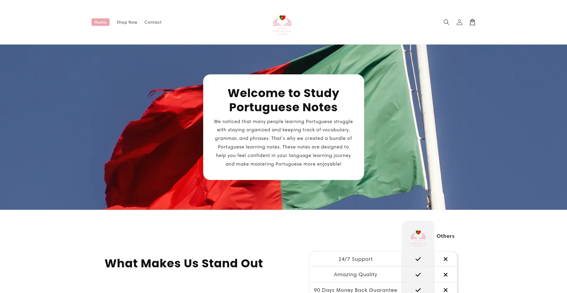 Website screenshot of Studyportuguesenotes.com