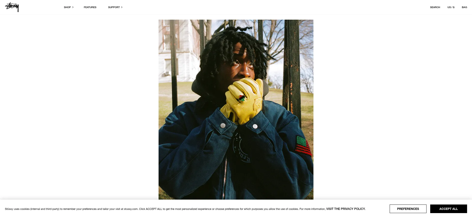 Website screenshot of Stussy.com