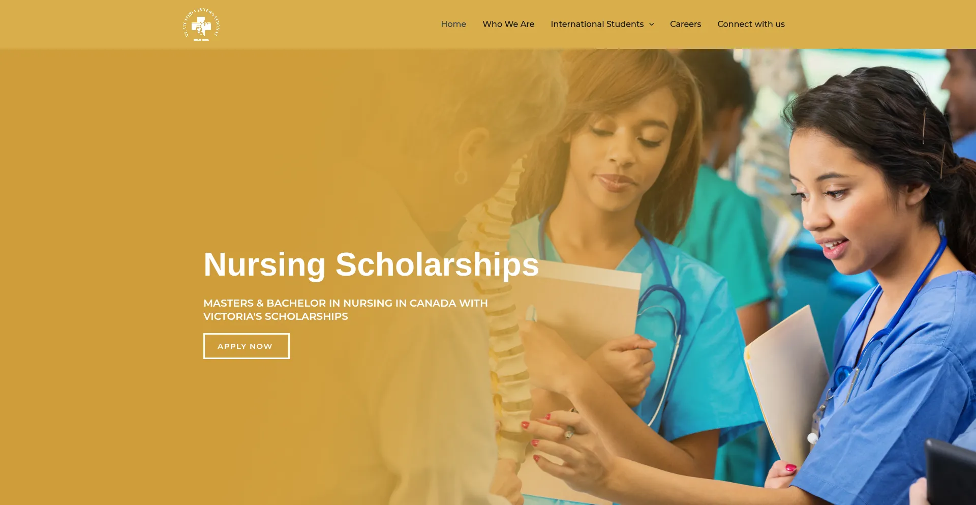 Website screenshot of Stvictoriainternationalnursingschool.com