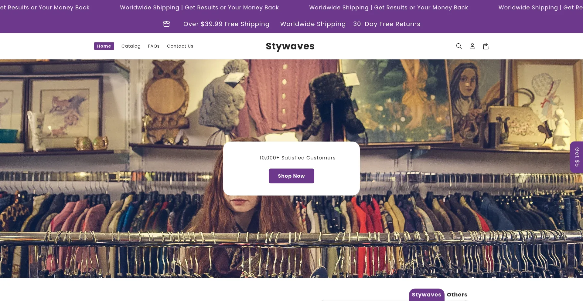 Website screenshot of Stywaves.com