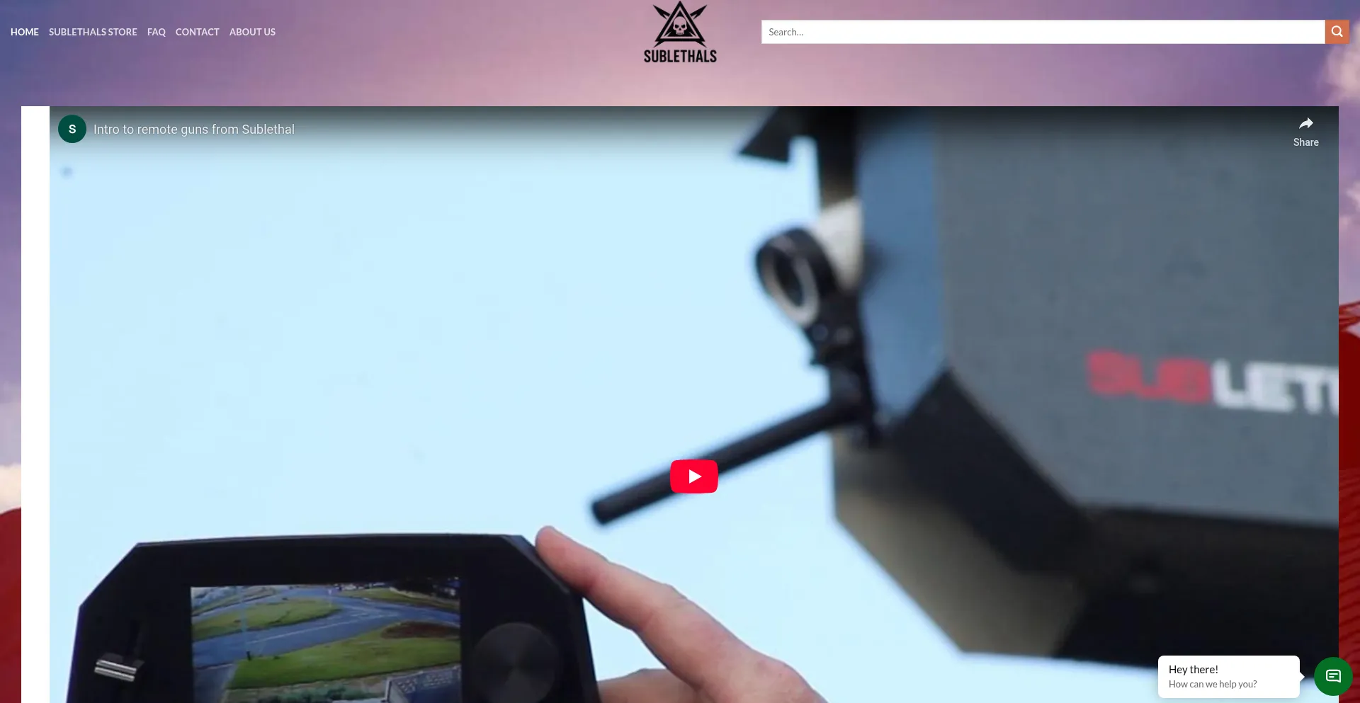 Website screenshot of Sublethals.com