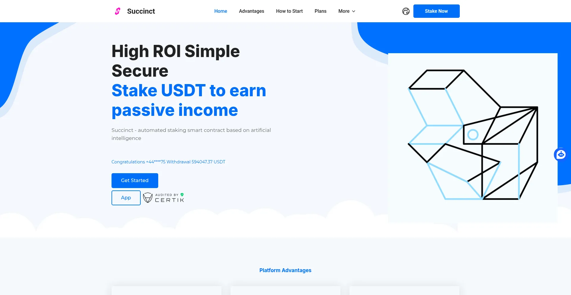 Website screenshot of Succinct-ai.vip