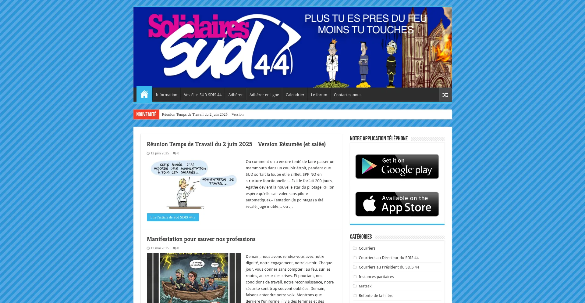 Website screenshot of Sud-sdis44.com