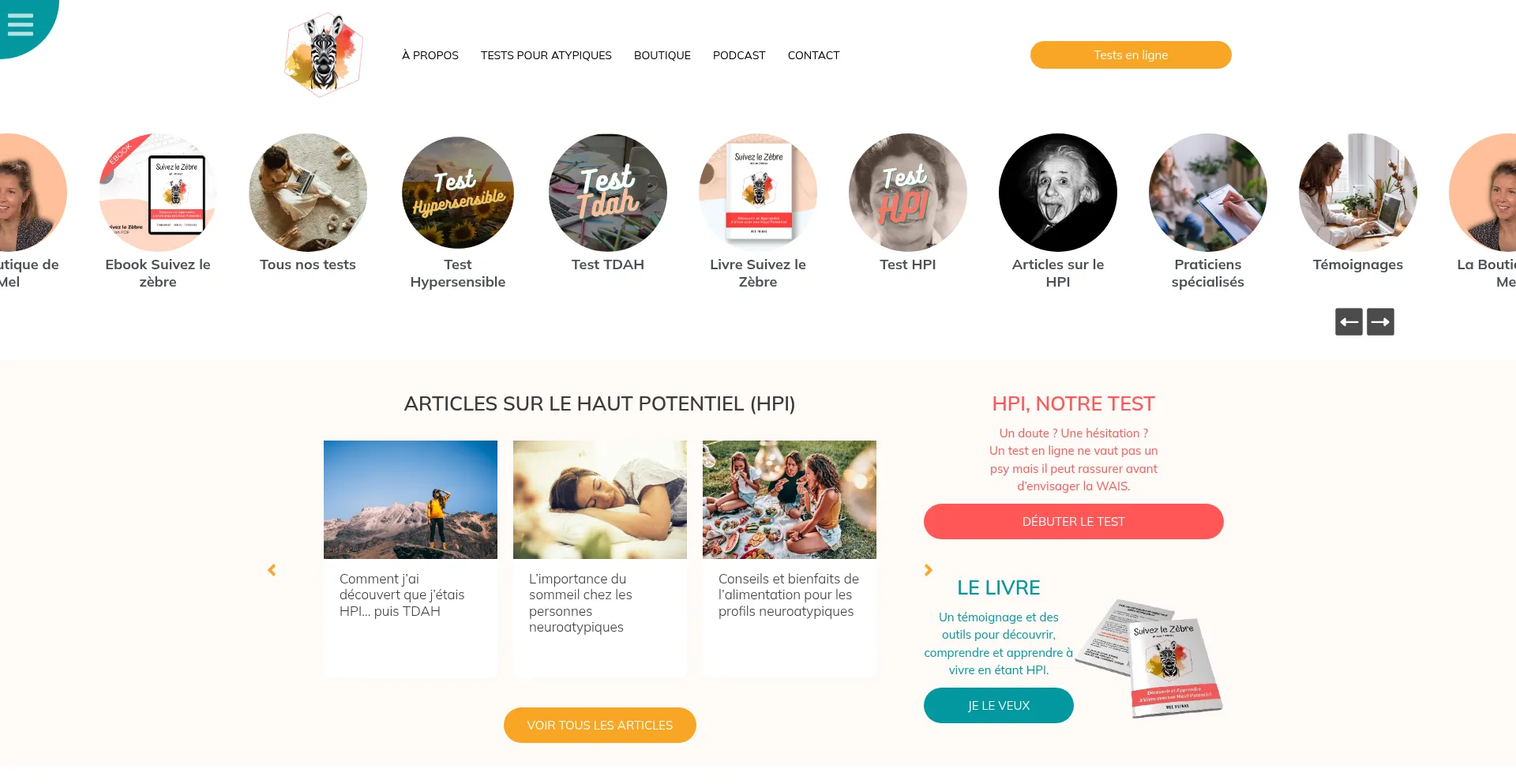 Website screenshot of Suivezlezebre.com