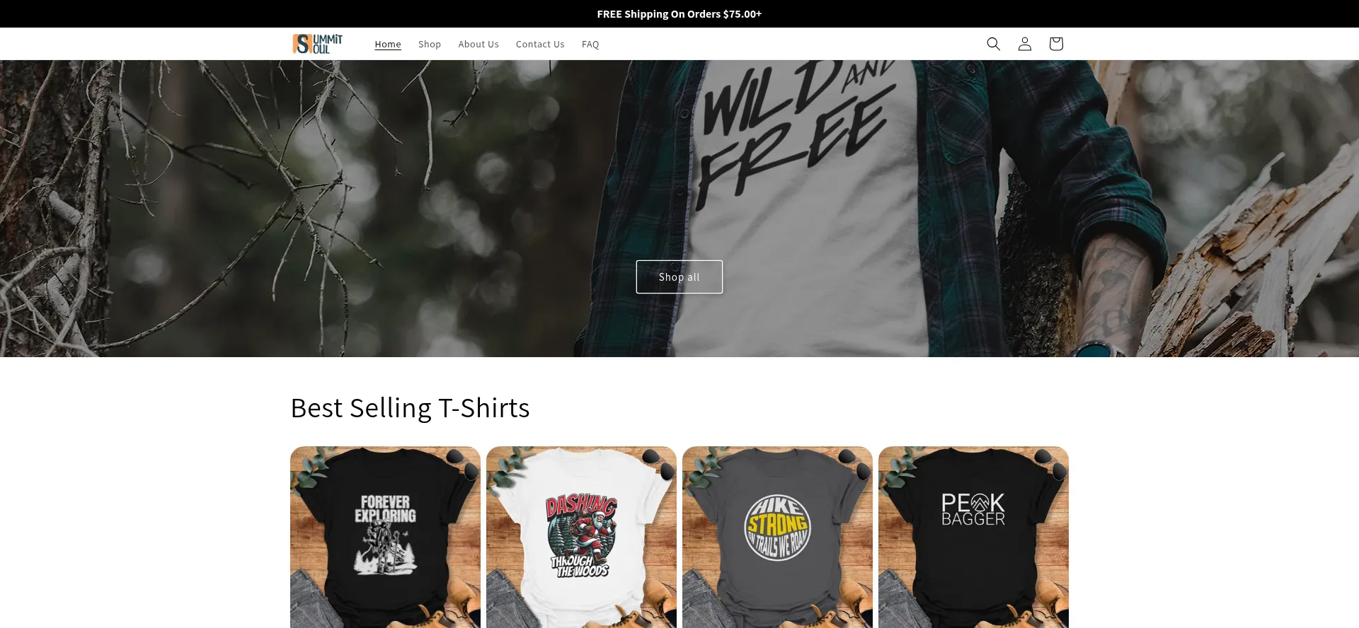 Website screenshot of Summitsoul.co