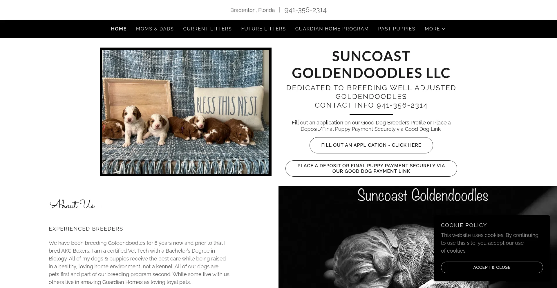 Website screenshot of Suncoastgoldendoodles.com