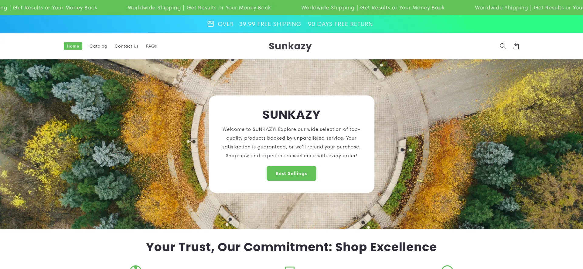 Website screenshot of Sunkazy.com