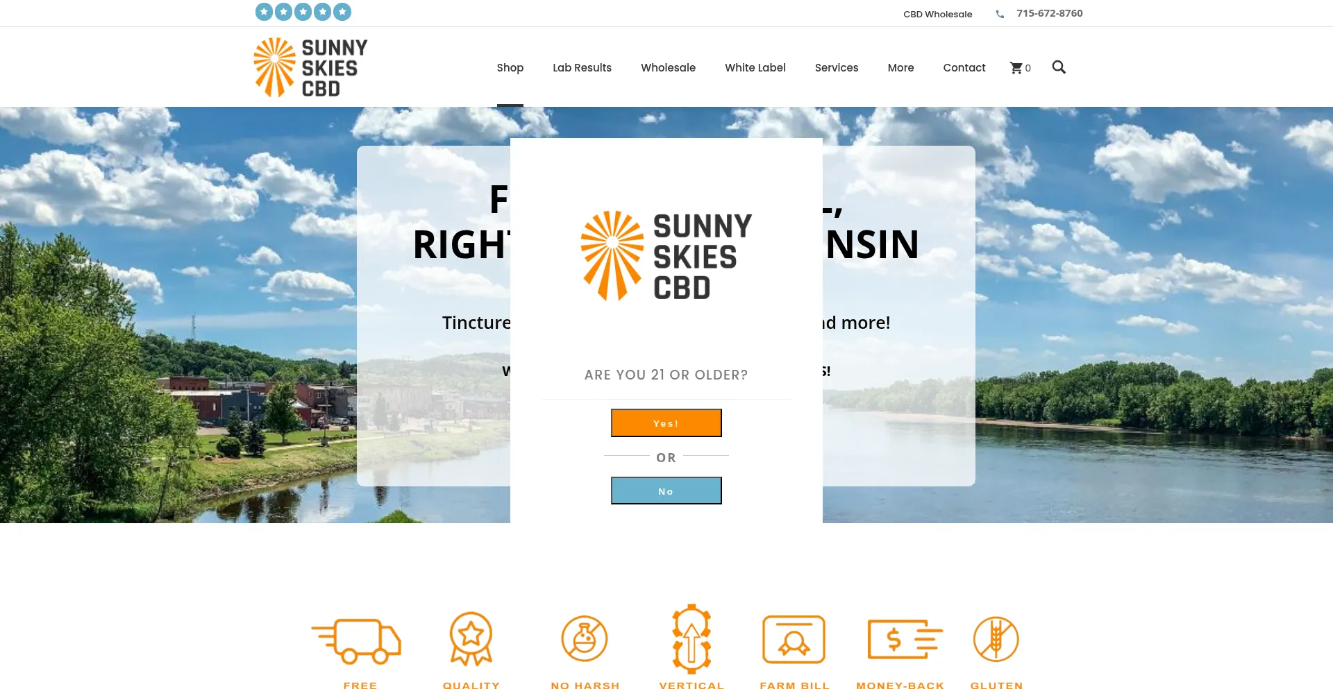 Website screenshot of Sunnyskiescbd.com