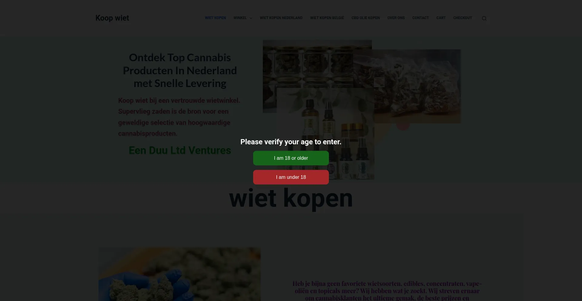 Website screenshot of Supervliegzaden.com