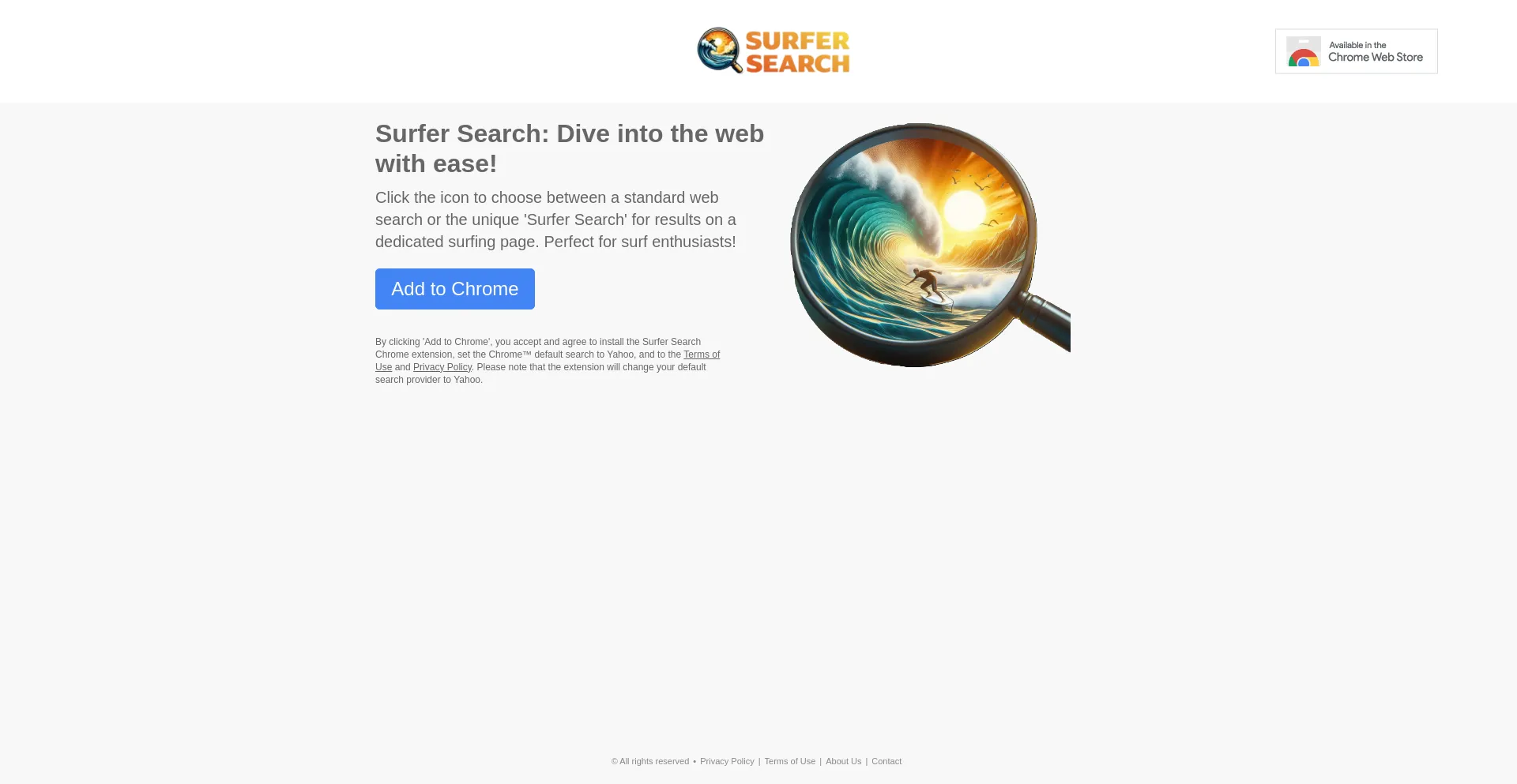 Website screenshot of Surfersearch.com