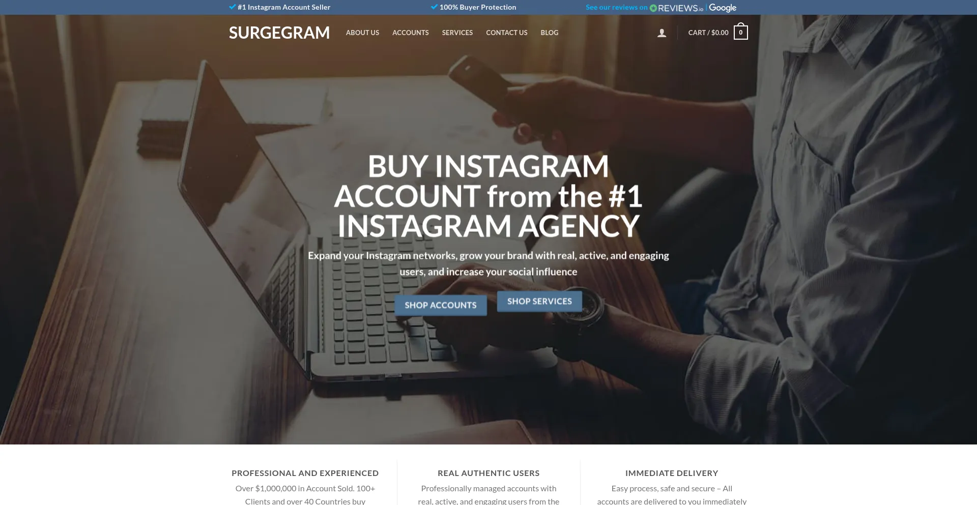 Website screenshot of Surgegram.com