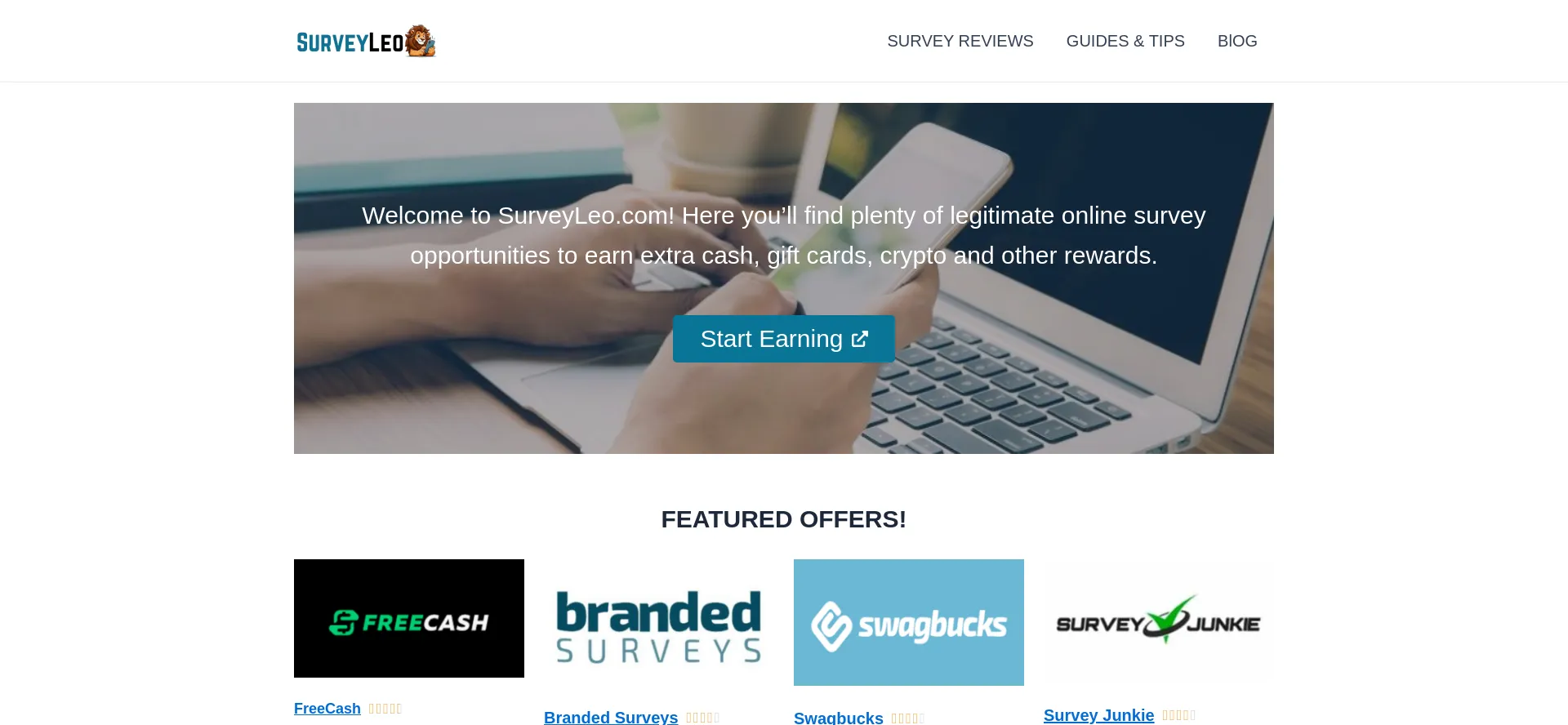 Website screenshot of Surveyleo.com