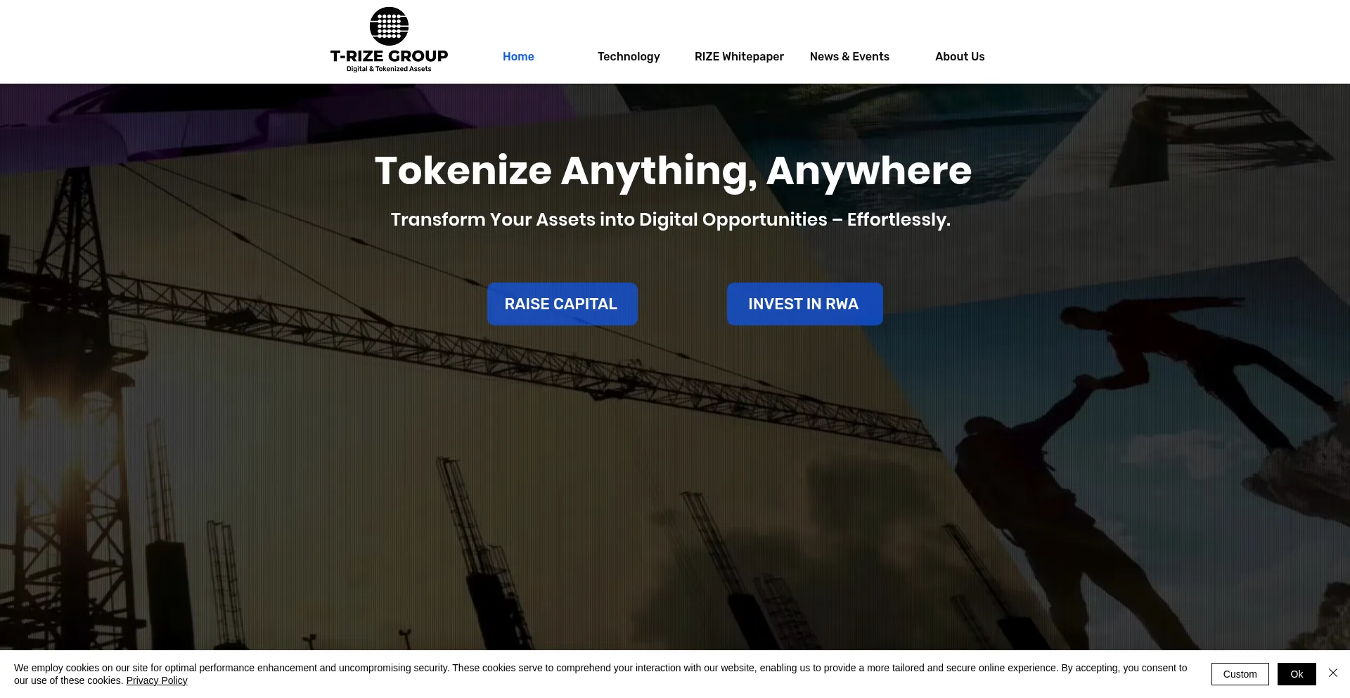 Website screenshot of T-rize.io
