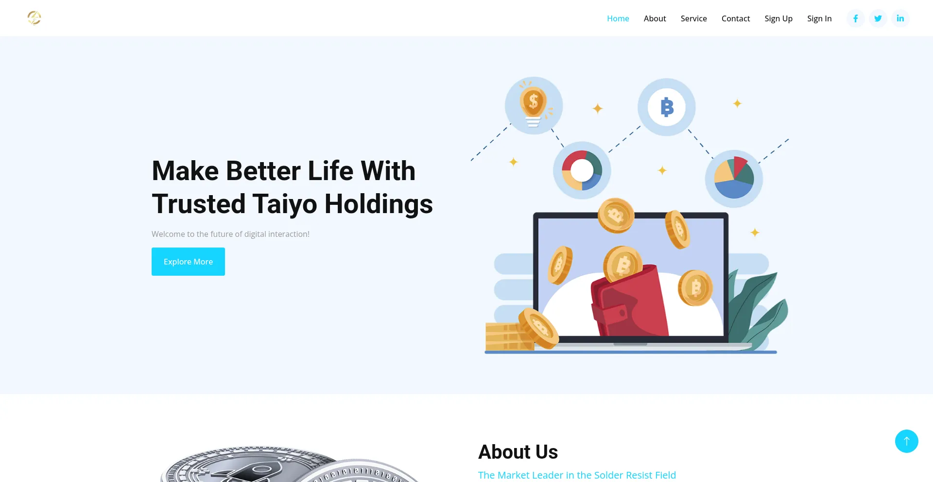 Taiyoholdings.org