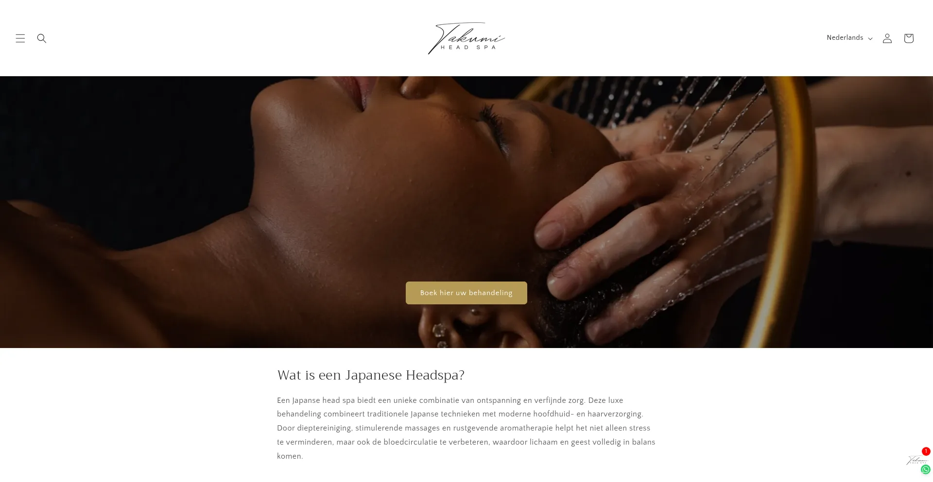 Takumiheadspa.com Screenshot
