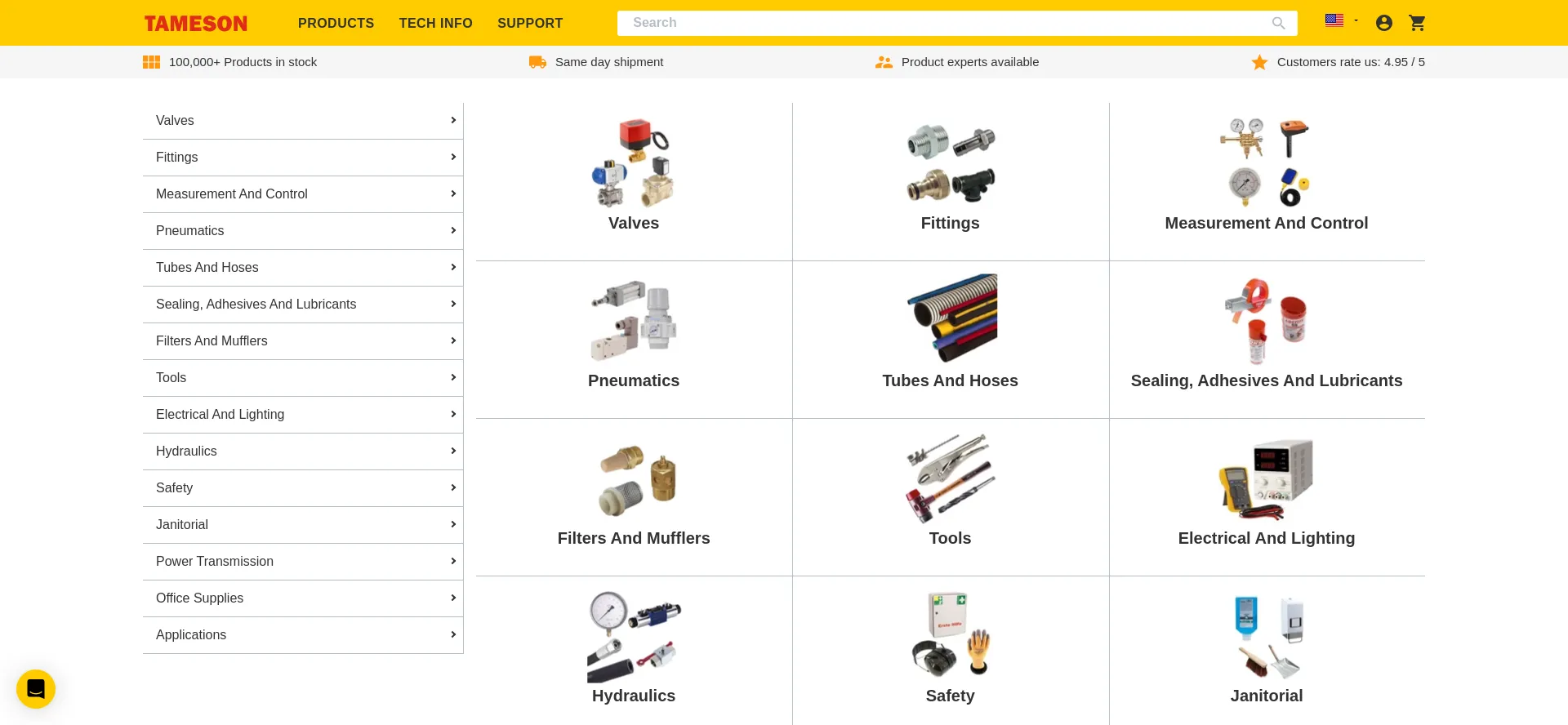 Website screenshot of Tameson.com