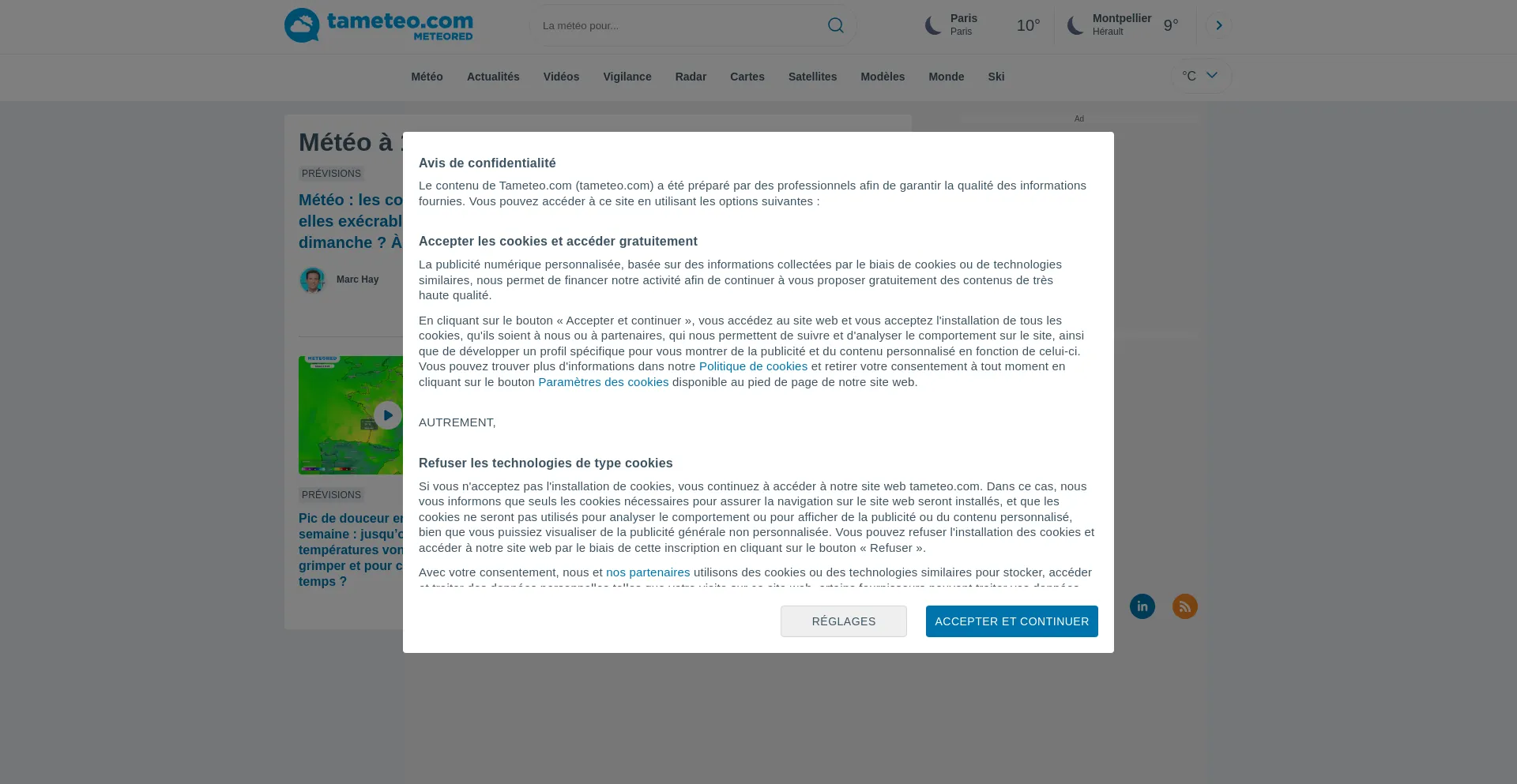 Website screenshot of Tameteo.com