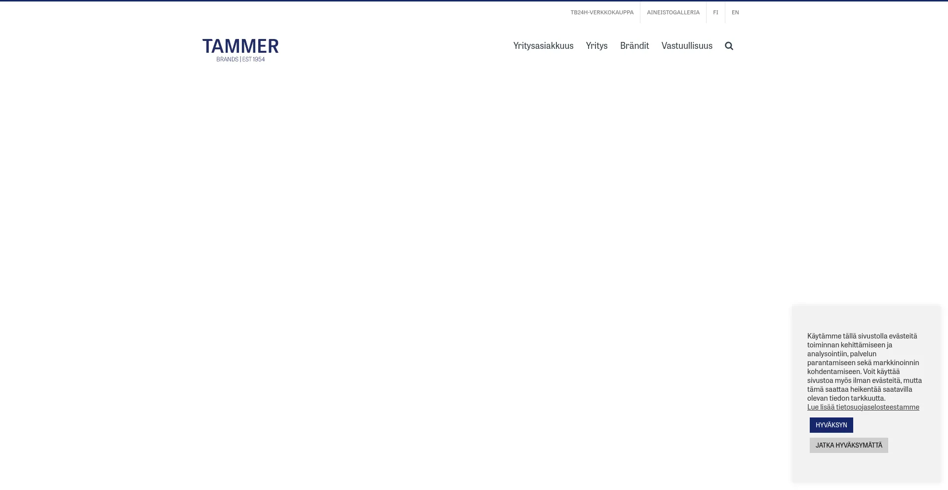 Website screenshot of Tammerbrands.fi